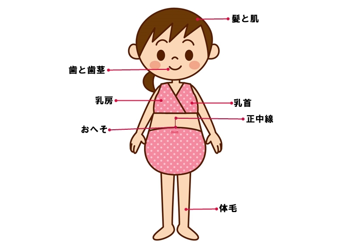 妊婦の体の変化はお腹だけではない